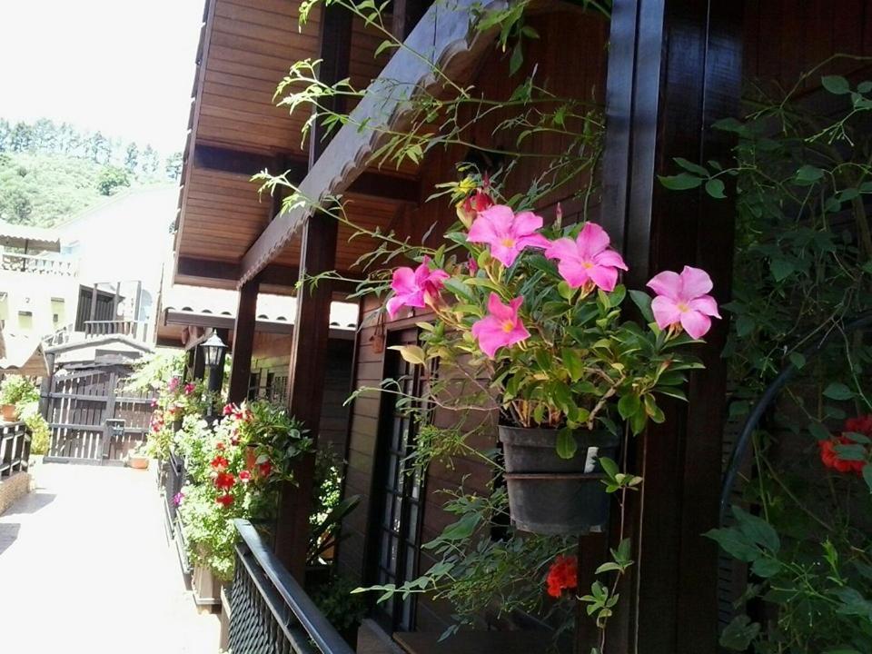 Cabanas Valle Verde Moya  Exterior photo